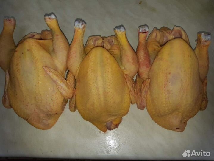 Мясо домашнего бройлера