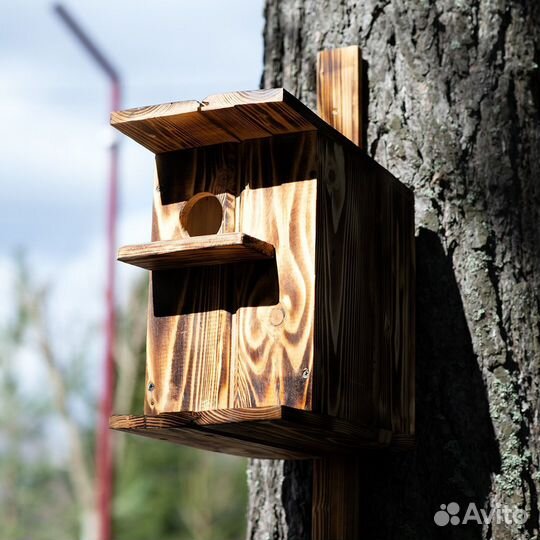 Бельчатник