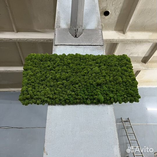 Панель из мха