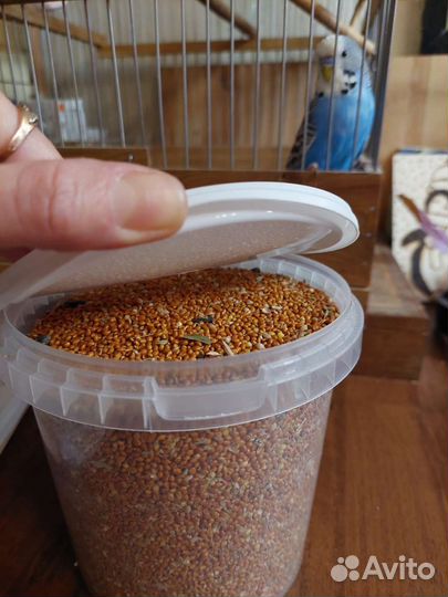 Корм для попугайчиков