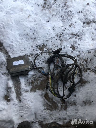 Эбу микас 7.1