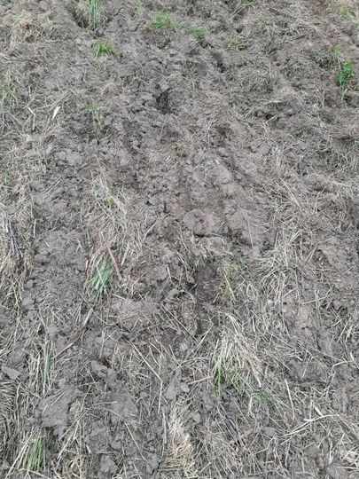 Участок 35 сот. (ИЖС)