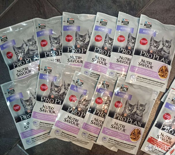 Корм для котят Pro Plan