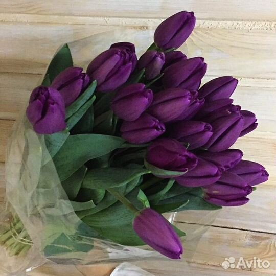 Букет из фиолетовых сортовых тюльпанов 37 шт