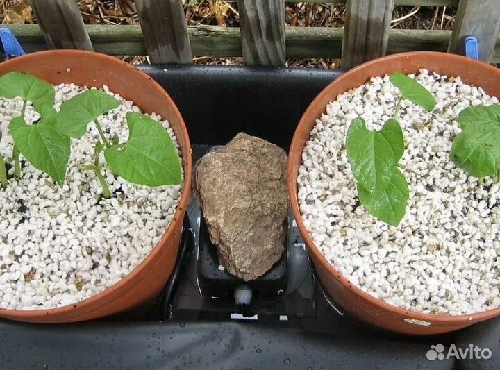 Агроперлит