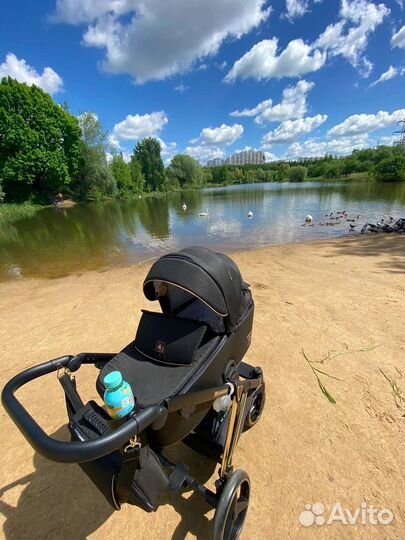Коляска 2 в 1 adamex