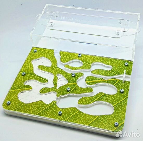 Муравьиная ферма