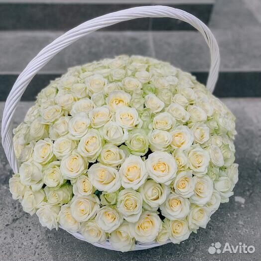 101 роза 51 роза 55 75 35 31 25 Букет Доставка