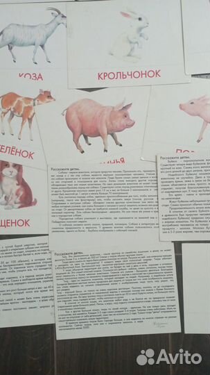 Развивающие книги пакетом