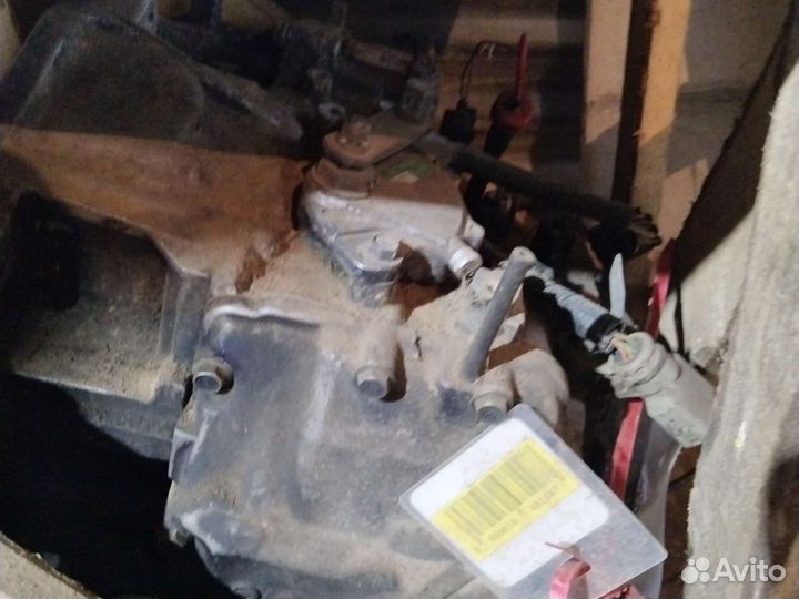 Коробка Сузуки култус