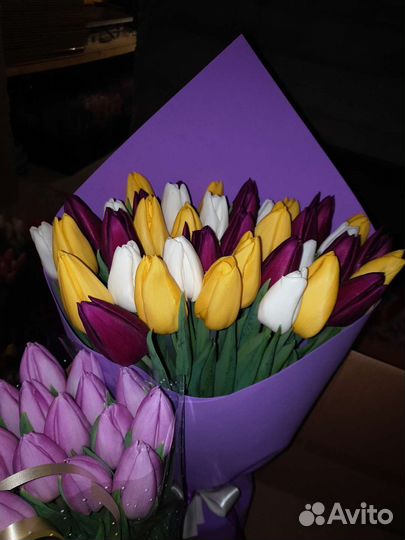 Луковицы тюльпанов для выгонки