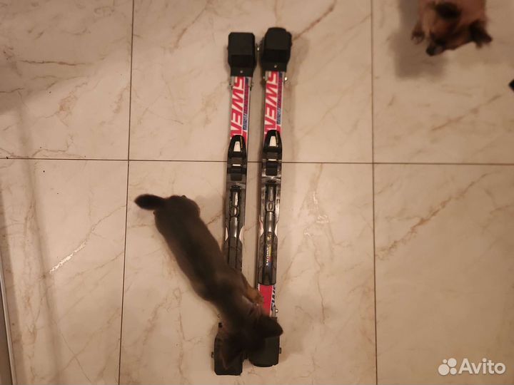 Лыжероллеры классические swenor finstep