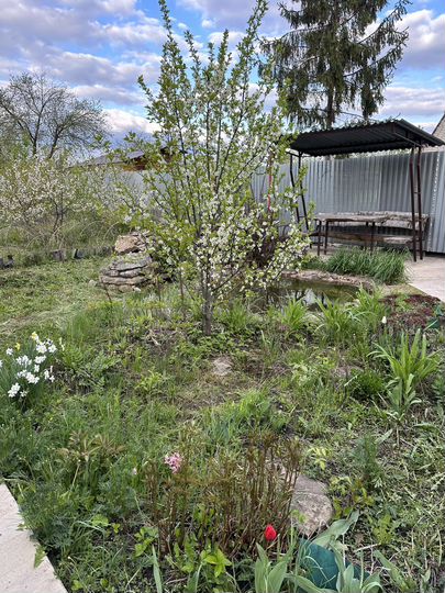 Дача 27 м² на участке 3,7 сот.