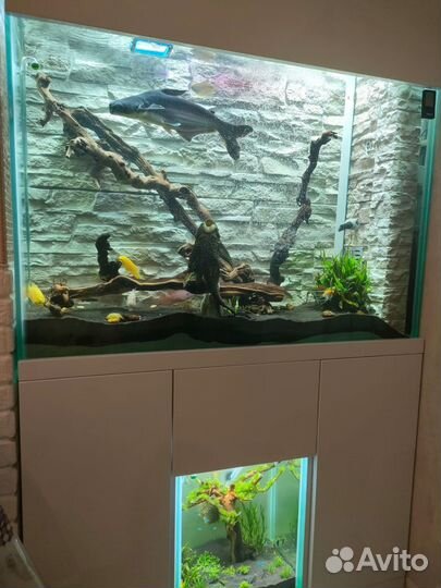 Аквариум
