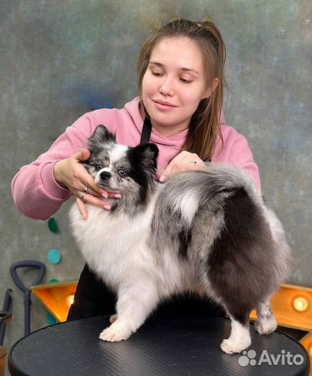 Грумер стрижка собак и кошек