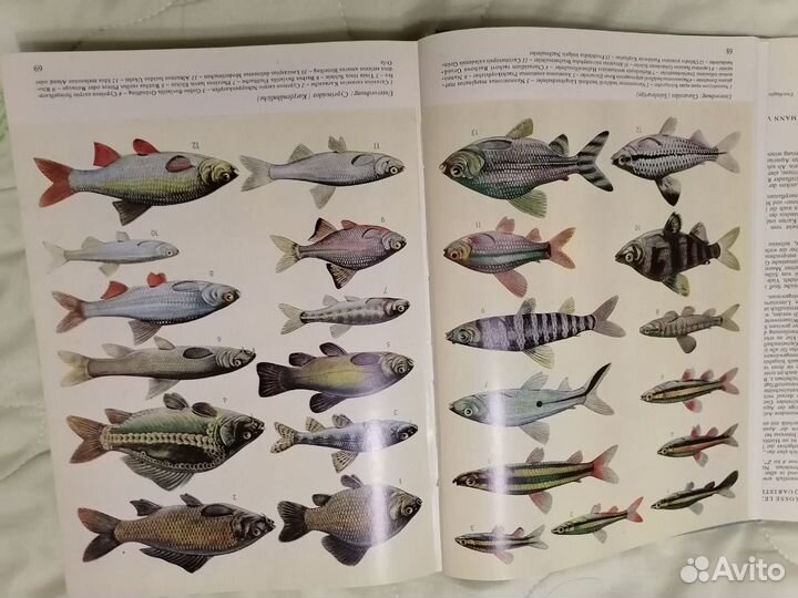 Книга - справочник аквариумиста