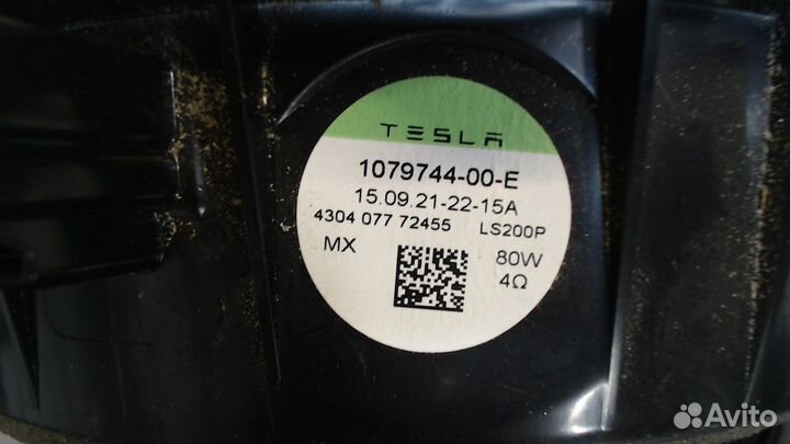 Динамик Tesla Model Y, 2021