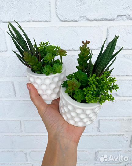 Суккуленты декоративные искусственные растения