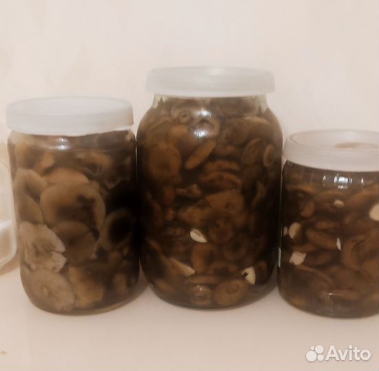 Огурцы, чеснок. Ягоды:крыжовник,смородина