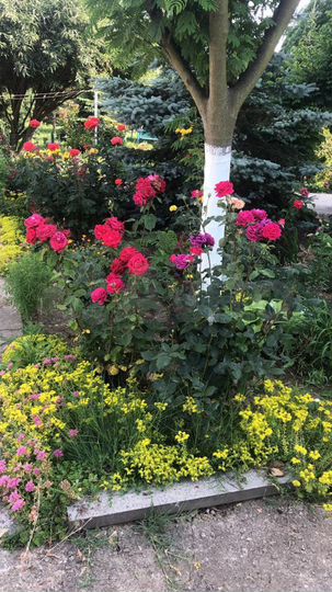 Дом 100 м² на участке 25 сот.