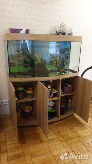 Аквариум 260 л Juwel Vision 260 LED светлое дерево