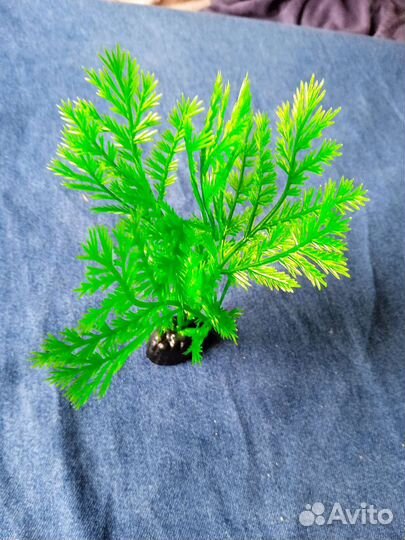 Декорации и растения для аквариума