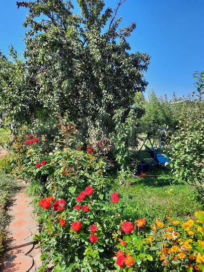 Дача 54 м² на участке 8 сот.