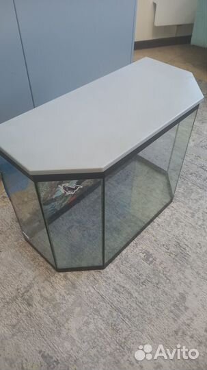 Панорамный аквариум 60л