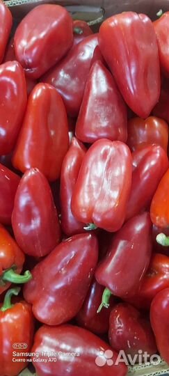 Перец красный сладкий
