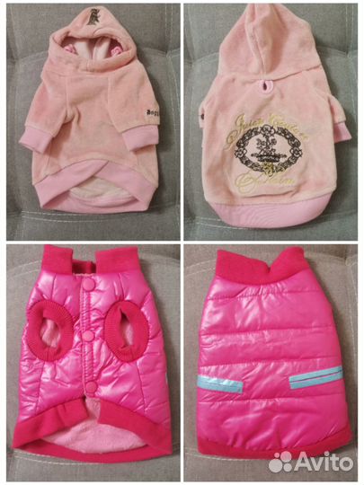 Одежда для собак