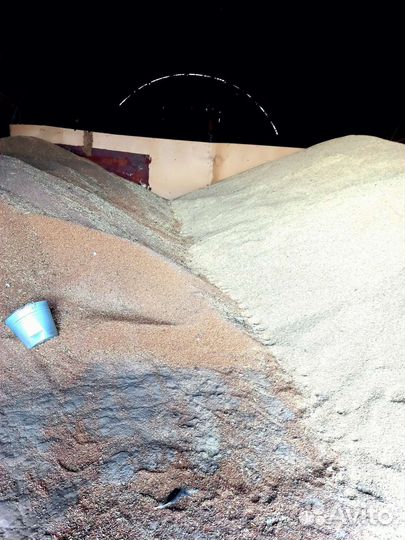 Зерно пшеница ячмень