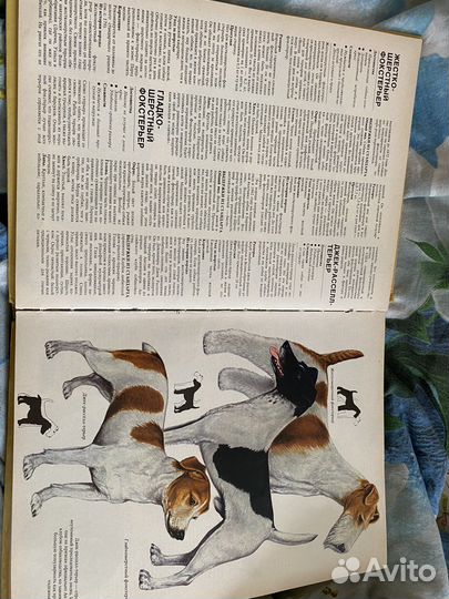 Ваша Собака Джон Палмер