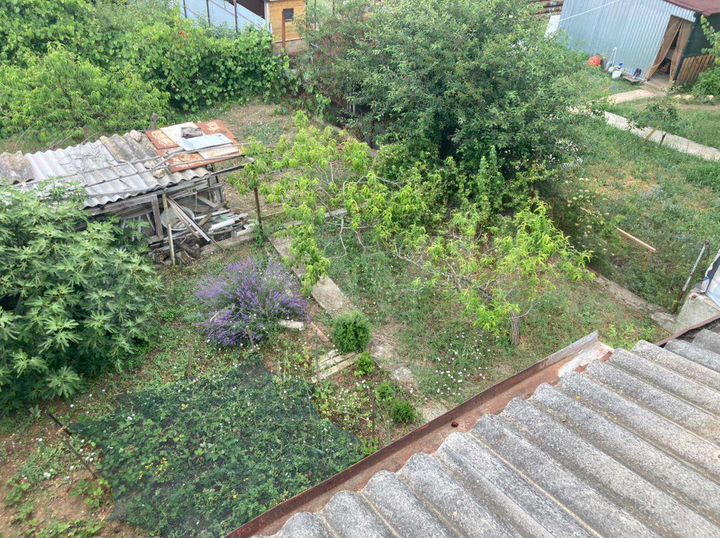 Участок 4,3 сот. (СНТ, ДНП)