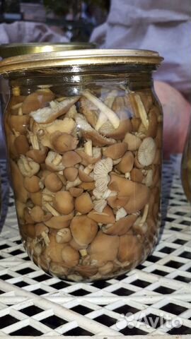 Грибы маринованные. Соленья