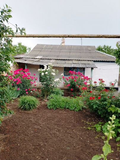 Дом 49,8 м² на участке 13,2 сот.