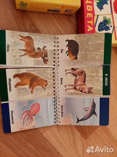Развивающие игры пакетом