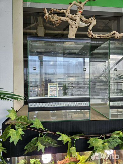 Террариум в рассрочку