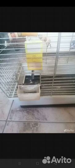 Клетка для попугая