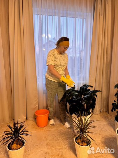 Клининг Уборка домов