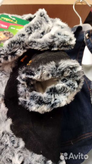 Одежда для собак