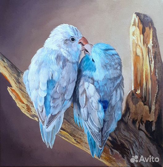 Попугаи Картина