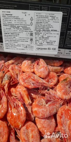 Креветка оптом