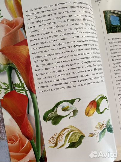 Флористика вокруг света Юлия Фомина