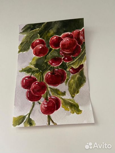 Акварельные картины. Ботанические иллюстрации