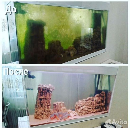 Чистка аквариума и обслуживание