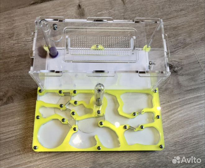 Набор муравьиная ферма (большая)