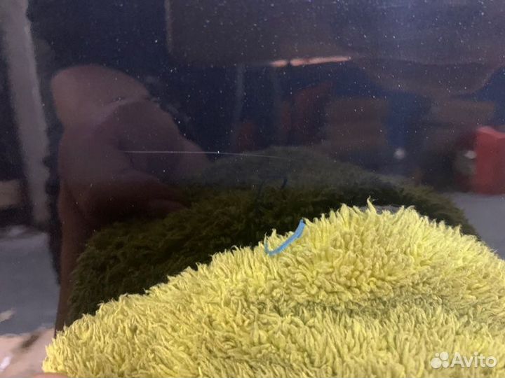 Дверь боковая задняя правая Audi Q3 8U cpsa 2013