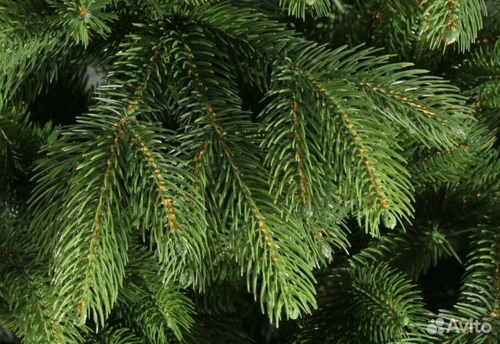 Искусственная елка литая 210 см premium