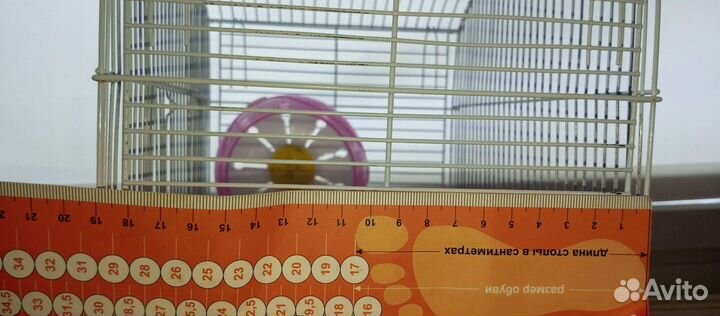 Клетка для джунгарского хомяка