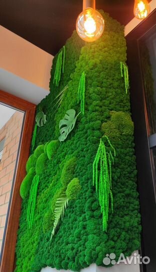 Вертикальное озеленение. Фитостена